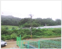  2025Ÿ��30423 ���� ��â�� ����� ���� 547      ����(������)���