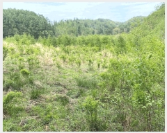  2025Ÿ��30442 ���� ��â�� ����� ���̸� 681      ����(��1)���