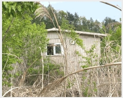  2025Ÿ��30442 ���� ��â�� ����� ���̸� 681      ����(��1)���