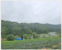  2025Ÿ��30466 ���� ��â�� ����� ������� 399      ����(��1)���