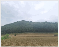  2025Ÿ��30466 ���� ��â�� ����� ������� 399      ����(��1)���