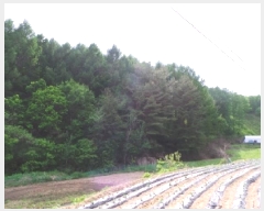  2025Ÿ��30466 ���� ��â�� ����� ������� 399      ����(��1)���