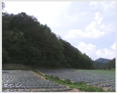  2025Ÿ��30466 ���� ��â�� ����� ������� 399      ����(��1)���