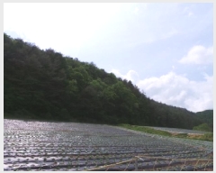  2025Ÿ��30466 ���� ��â�� ����� ������� 399      ����(��1)���