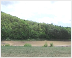  2025Ÿ��30466 ���� ��â�� ����� ������� 399      ����(��1)���