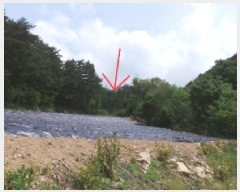  2025Ÿ��30466 ���� ��â�� ����� ������� 399      ����(��1)���