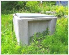  2025Ÿ��30479 ���� ��â�� ���θ� �����θ� 830-1      ����,â�����