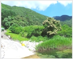  2025Ÿ��30490 ���� ������ ������ ���ϸ� 367-1      ����(��1)���