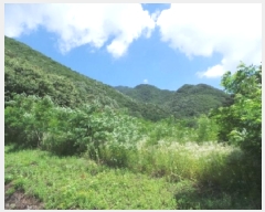  2025Ÿ��30490 ���� ������ ������ ���ϸ� 367-1      ����(��1)���