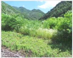  2025Ÿ��30490 ���� ������ ������ ���ϸ� 367-1      ����(��1)���