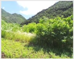  2025Ÿ��30490 ���� ������ ������ ���ϸ� 367-1      ����(��1)���