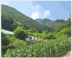  2025Ÿ��30490 ���� ������ ������ ���ϸ� 367-1      ����(��1)���