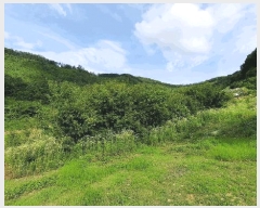  2025Ÿ��30495  �Ӿ߰��