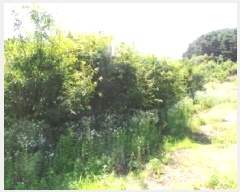  2025Ÿ��30495  �Ӿ߰��