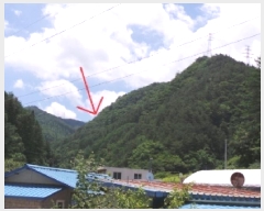  2025Ÿ��30495  �Ӿ߰��