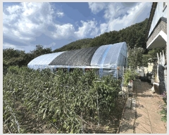  2025Ÿ��30500 ���� ��â�� ��ź�� â�� 335      ���ð��