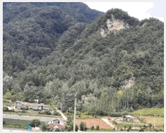  2025Ÿ��30511 ���� ��â�� ��ȭ�� ��ȹ̸� 269-1      ����(��1)���