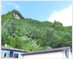  2025Ÿ��30511 ���� ��â�� ��ȭ�� ��ȹ̸� 269-1      ����(��1)���