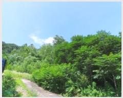  2025Ÿ��30511 ���� ��â�� ��ȭ�� ��ȹ̸� 269-1      ����(��1)���