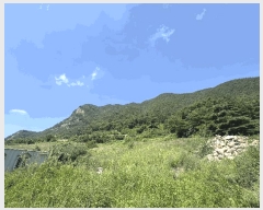  2025Ÿ��30514 ���� ������ �ŵ��� ��ġ�� 250-2      ����(��1)���