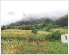  2025Ÿ��30514 ���� ������ �ŵ��� ��ġ�� 250-2      ����(��1)���