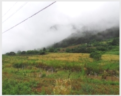  2025Ÿ��30514 ���� ������ �ŵ��� ��ġ�� 250-2      ����(��1)���