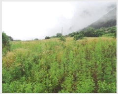  2025Ÿ��30514 ���� ������ �ŵ��� ��ġ�� 250-2      ����(��1)���