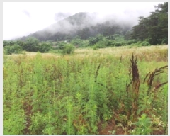  2025Ÿ��30514 ���� ������ �ŵ��� ��ġ�� 250-2      ����(��1)���