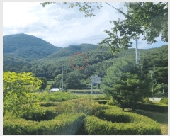  2025Ÿ��30524  �Ӿ߰��