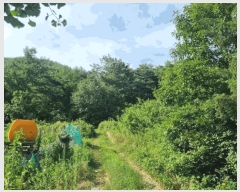  2025Ÿ��30524  �Ӿ߰��