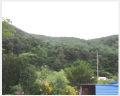  2025Ÿ��30524  �Ӿ߰��