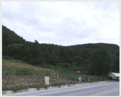  2025Ÿ��30524  �Ӿ߰��