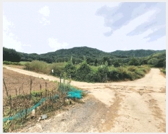  2025Ÿ��30570 ���� ��â�� ����� ������ 251-15      ����(��1)���