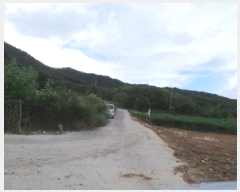  2025Ÿ��30570 ���� ��â�� ����� ������ 251-15      ����(��1)���