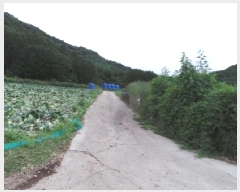  2025Ÿ��30570 ���� ��â�� ����� ������ 251-15      ����(��1)���