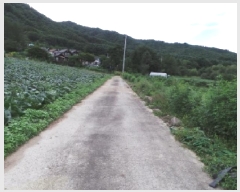  2025Ÿ��30570 ���� ��â�� ����� ������ 251-15      ����(��1)���