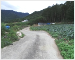  2025Ÿ��30570 ���� ��â�� ����� ������ 251-15      ����(��1)���