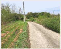  2025Ÿ��1804 ��� ��õ�� ������ �λ긮 172-1      ����(��1)���