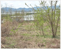  2025Ÿ��1804 ��� ��õ�� ������ �λ긮 172-1      ����(��1)���