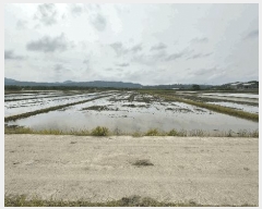  2025Ÿ��2173 ��� ������ ź�θ� ������ 240      ����(��)���