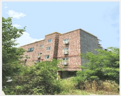  2025Ÿ��2404 ��� û�ֽ� ����� ������ ��� 331-12     �ٰ������ð��