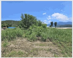  2025Ÿ2920   θ  36-1      