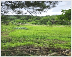  2025Ÿ2975  ûֽ   긮 68     ()