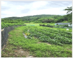  2025Ÿ2975  ûֽ   긮 68     ()