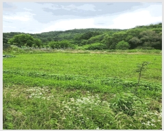  2025Ÿ2975  ûֽ   긮 68     ()