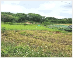  2025Ÿ2975  ûֽ   긮 68     ()