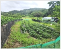  2025Ÿ2975  ûֽ   긮 68     ()