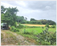  2025Ÿ2975  ûֽ   긮 68     ()