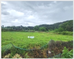  2025Ÿ2975  ûֽ   긮 68     ()