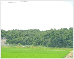  2025Ÿ��3022  �����